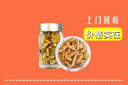 吕梁方山县回收散虫草
