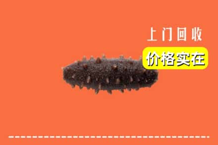 吕梁方山县回收海参