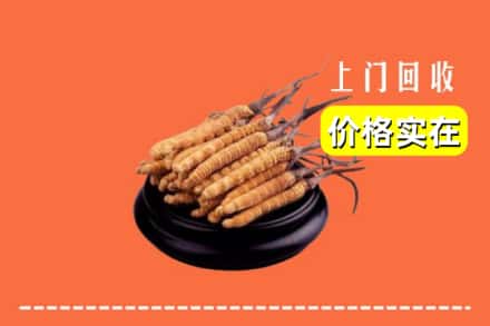 吕梁方山县回收冬虫夏草